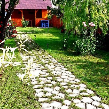 Villa Casa Pavel Jurilovca Exterior foto