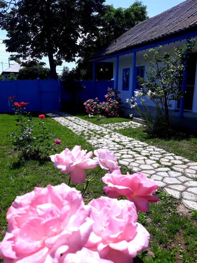 Villa Casa Pavel Jurilovca Exterior foto