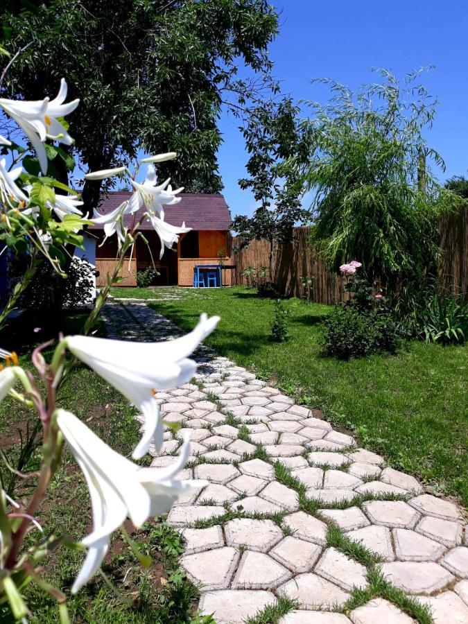 Villa Casa Pavel Jurilovca Exterior foto